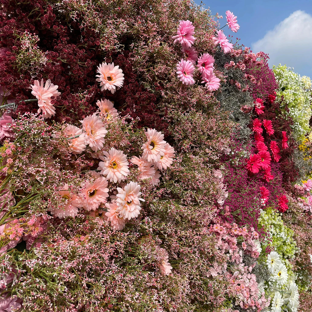 Twinkle：5D Fabric Artificial rolling up curtain flower wall