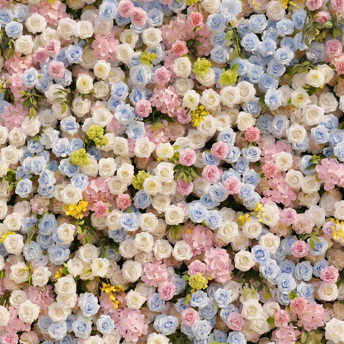 Calora:5D Dusty Blue, Blush Pink & Ivory White Silk Rose Flower Wall Roll-Up Fabric Backdrop for Romantic Weddings & Proposals