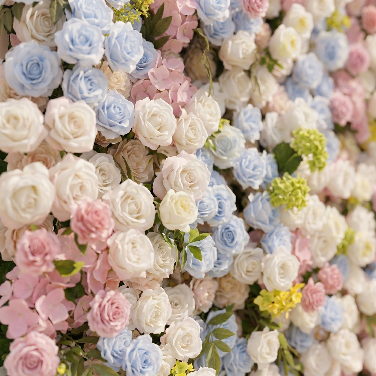 Calora:5D Dusty Blue, Blush Pink & Ivory White Silk Rose Flower Wall Roll-Up Fabric Backdrop for Romantic Weddings & Proposals