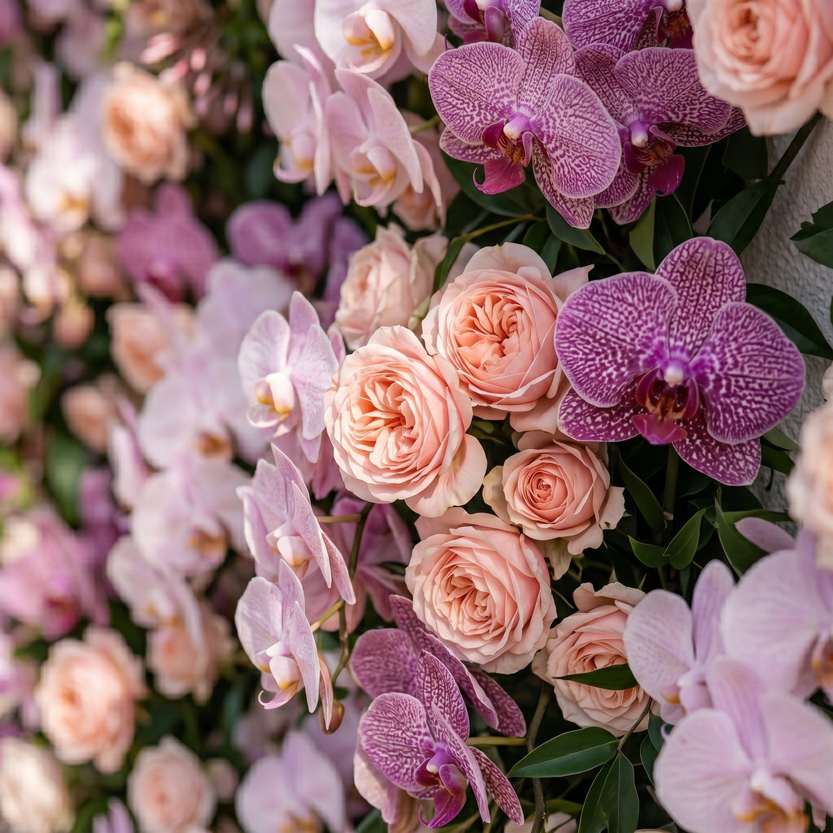 Clornora:Luxury 5D Roll up Rose Flower Wall with Purple Orchids for Wedding and Event Decoration
