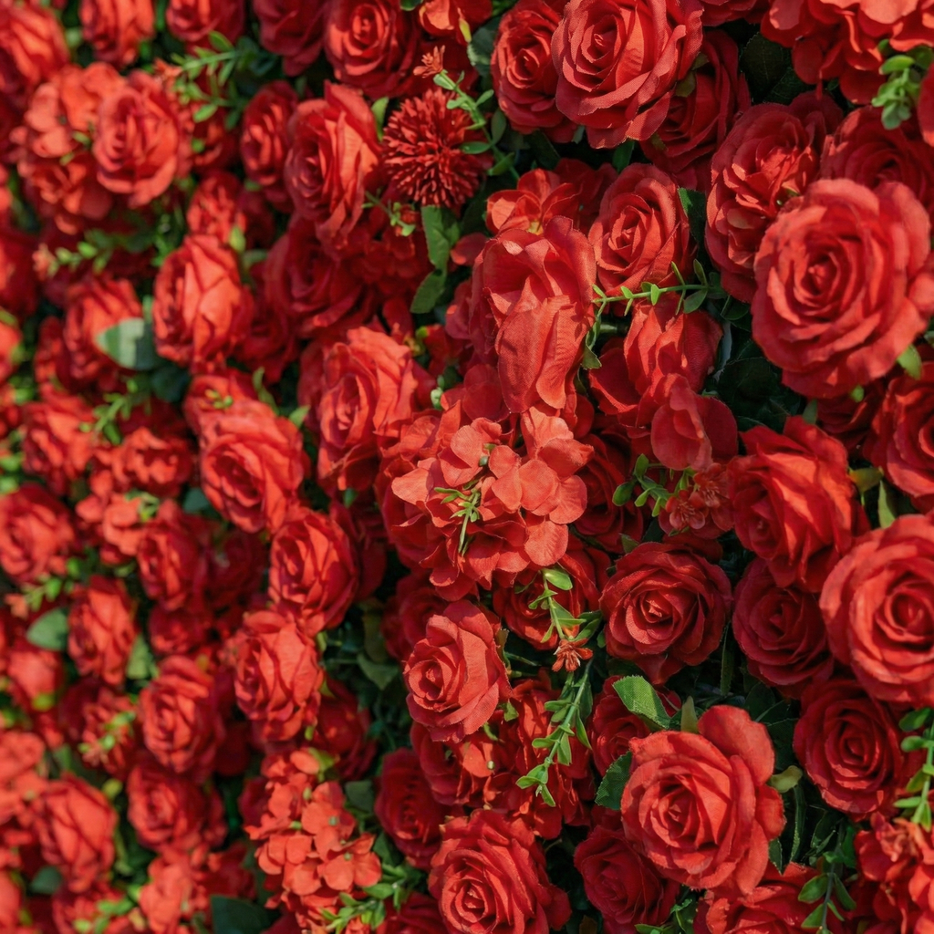 Ellis: Luxury 5D Crimson Silk Rose Flower Wall Roll-Up Fabric Backdrop for Romantic Proposals & Luxury Wedding Event