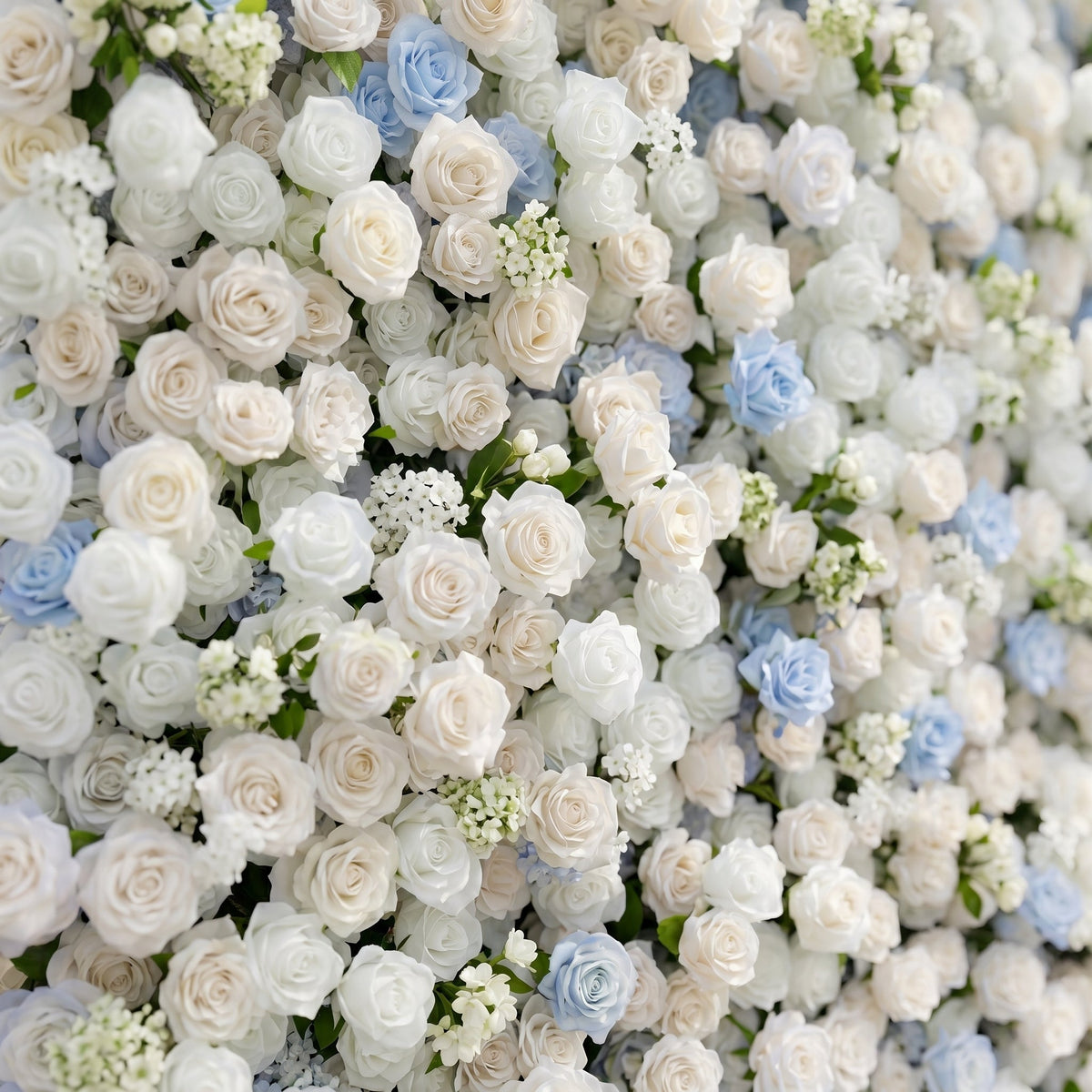 Fiorelle:5D Dusty Baby Blue & Ivory White Silk Rose Flower Wall Roll-Up Fabric Backdrop for Romantic Weddings & Proposals