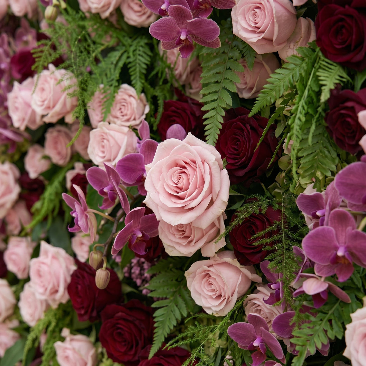 Gaellena:Luxury 5D Burgundy & Blush Pink Floral Wall with Greenery Roll-Up Backdrop for Romantic Fall Weddings