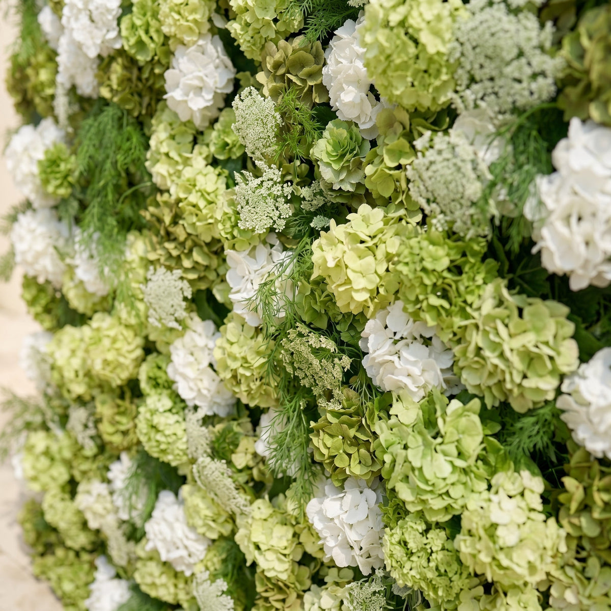 Ivelenna:Serene 5D Light Green & White Floral Wall Roll-Up Backdrop for Spring-Themed Celebrations