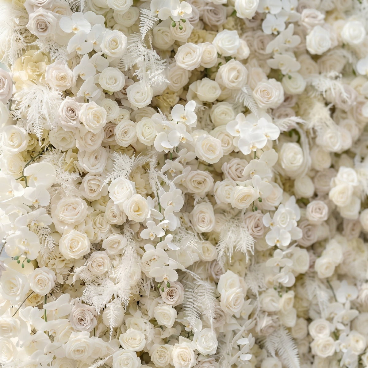Junbelle:Elegant 5D White Floral Wall with Pampas Grass Accents Roll-Up Backdrop for Whimsical Bridal Showers