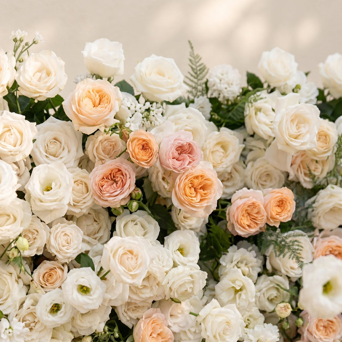 Karellora:5D Cream Ivory White Silk Rose Flower Wall Roll-Up Fabric Backdrop with Soft Peach Accents for Romantic Weddings & Proposals