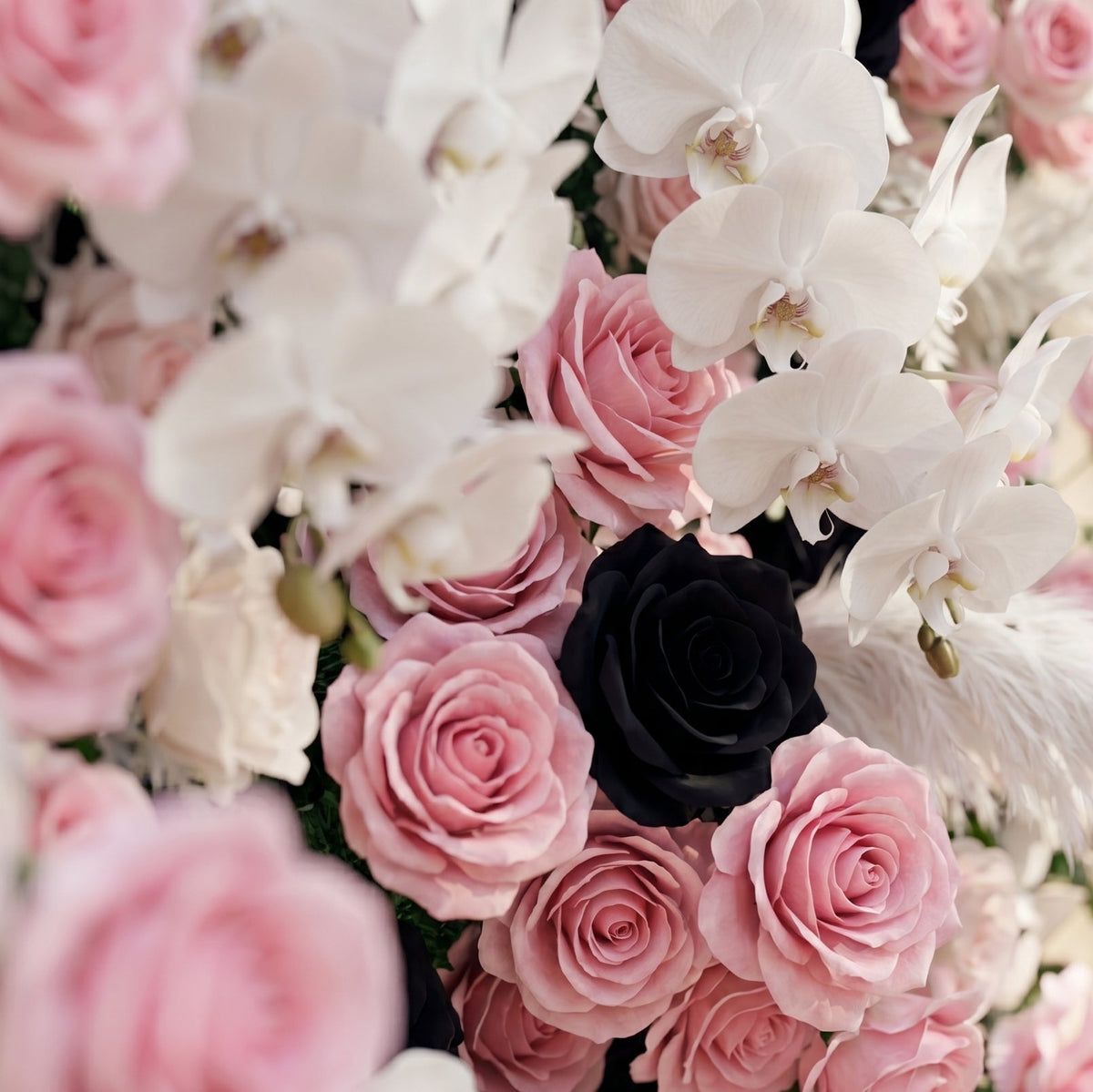 Larorae: Luxury 5D Black & Blush Pink Silk Floral Wall Roll-Up Backdrop for Edgy Romantic Weddings