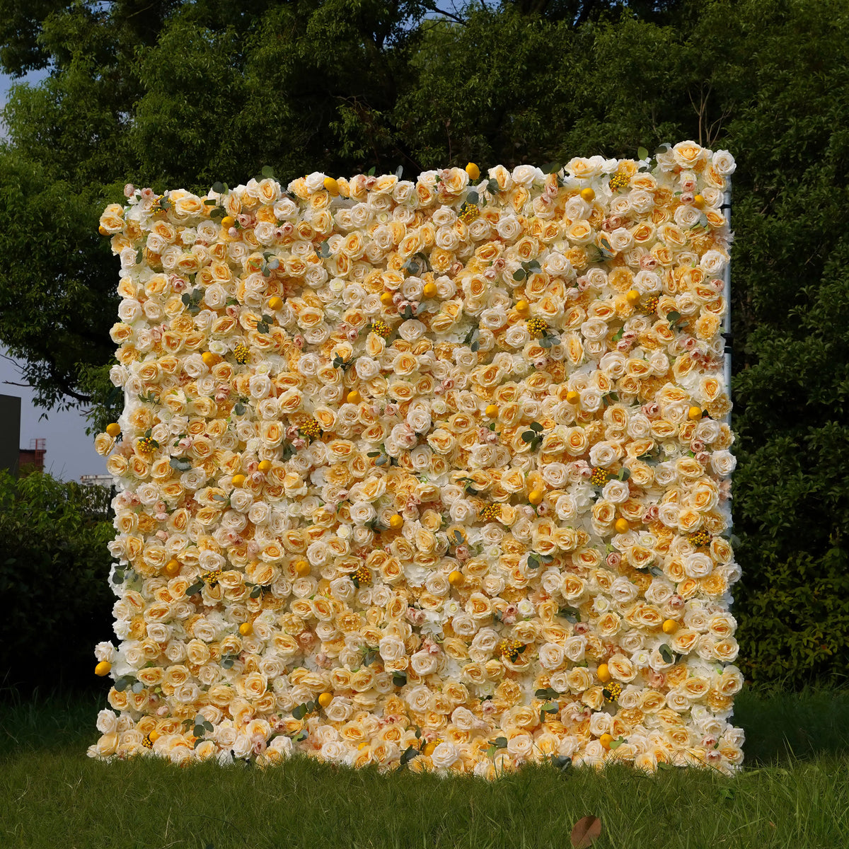 Lemon：7D Fabric Artificial rolling up curtain flower wall