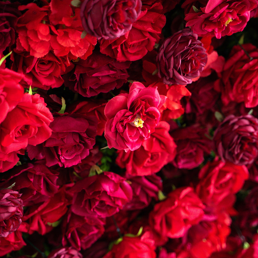 Luna 3D Layered Flower Wall - Luxury Silk Rolling Backdrop