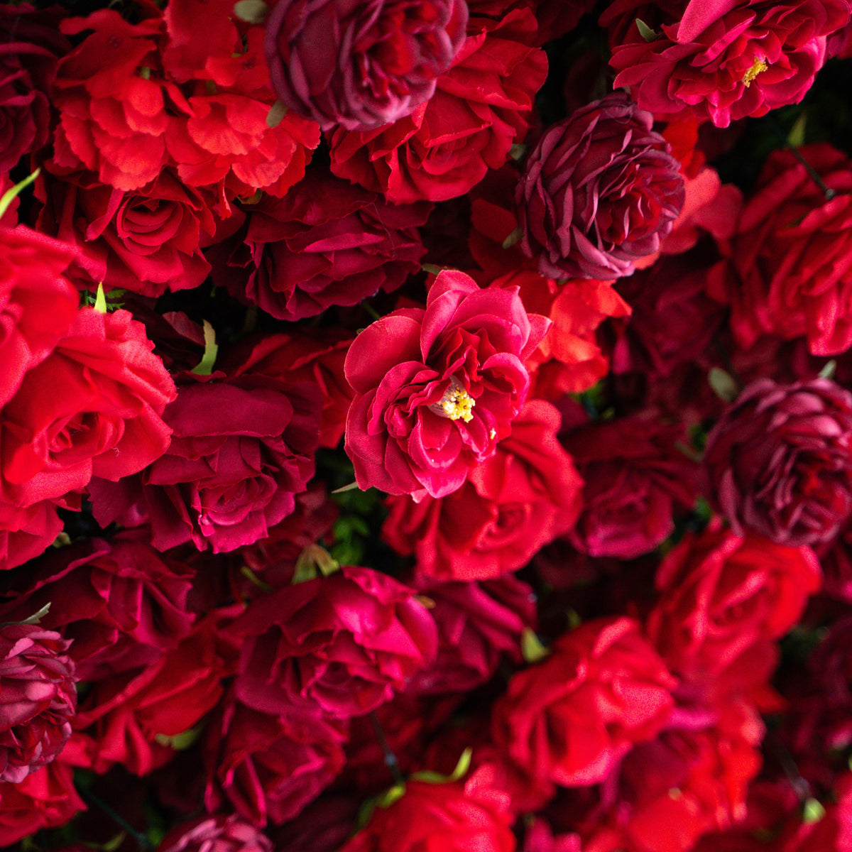 Luna 3D Layered Flower Wall - Luxury Silk Rolling Backdrop