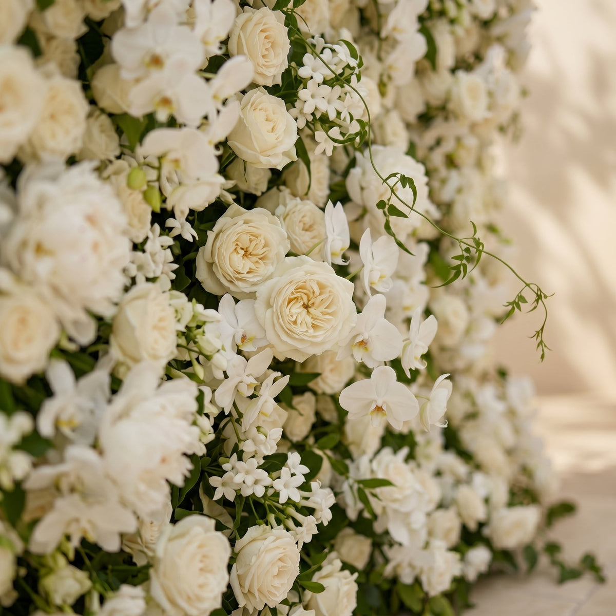 Maelette:Classic and Luxury 5D White Roses Flower Wall with Greenery for Weddings&Event Decor