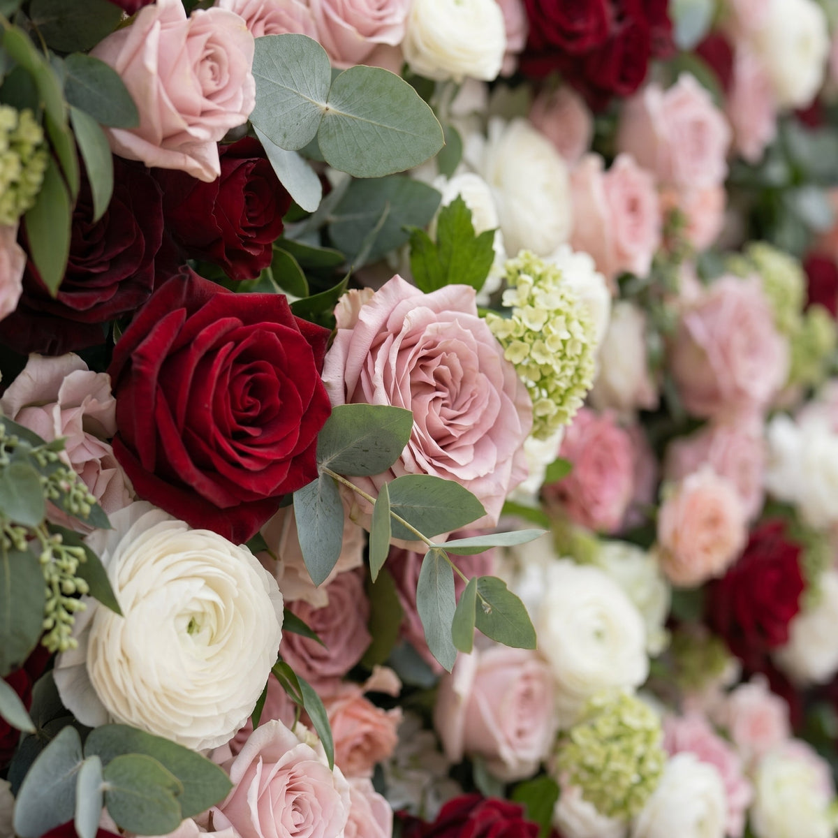 Mavenrella:5D Burgundy Red, Blush Pink & Ivory White Silk Rose Flower Wall Roll-Up Fabric Backdrop for Romantic Weddings & Proposals