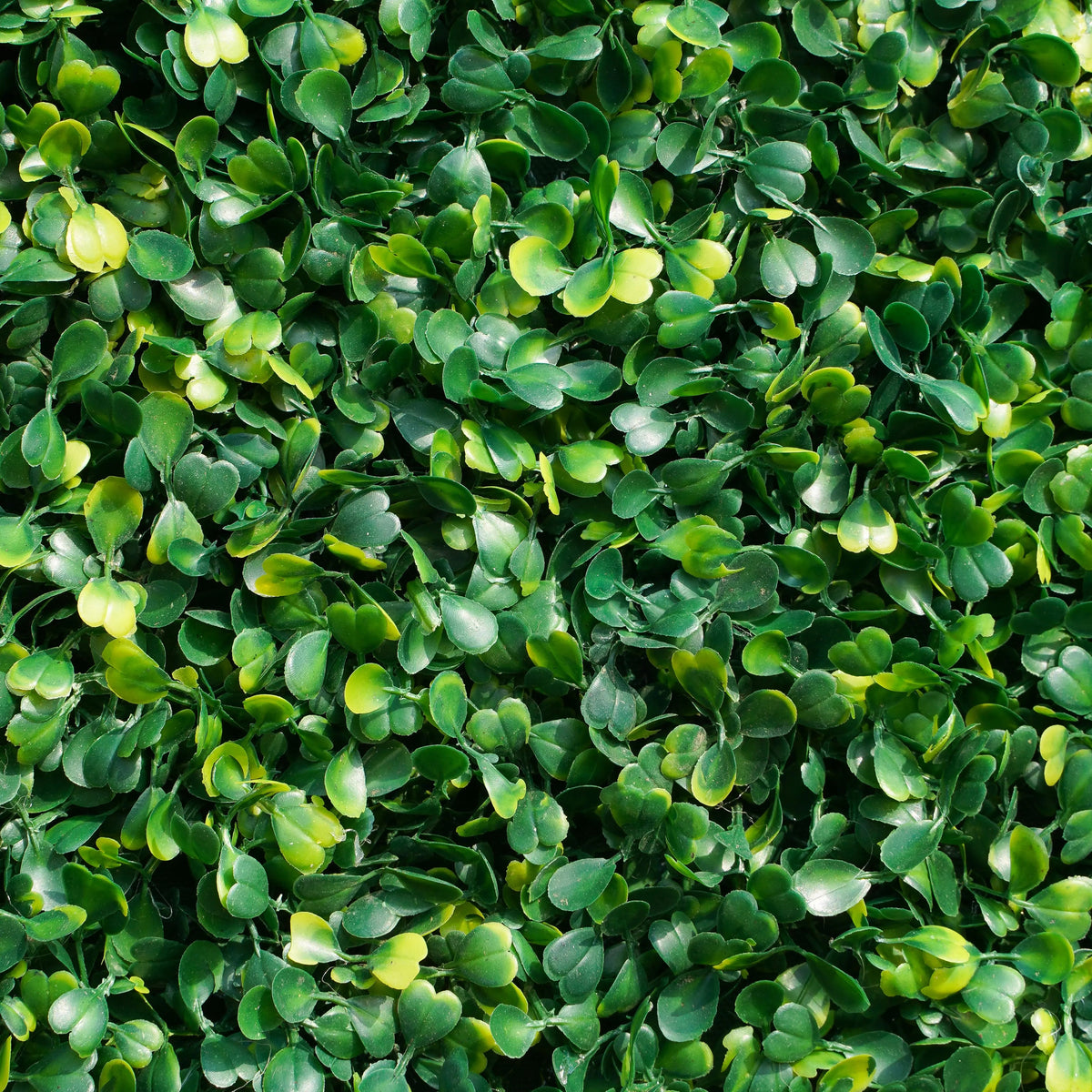 Milan: Fabric Artificial rolling up curtain green flower wall(In Us Stock)