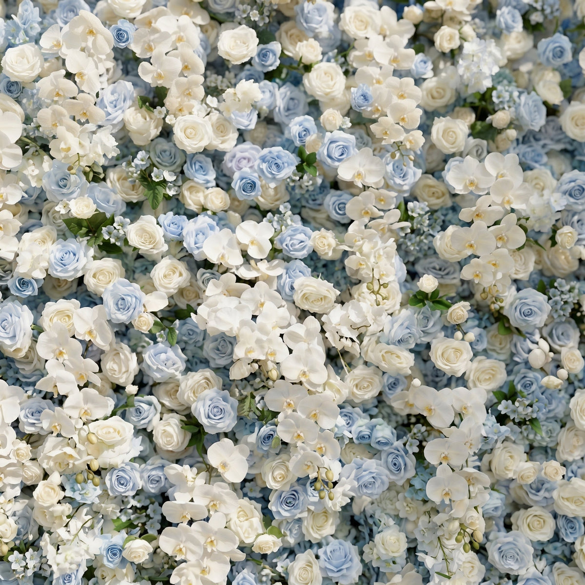Novdelle:New Luxury 5D Blue&White roses Flower wall for Wedding&Event Decor