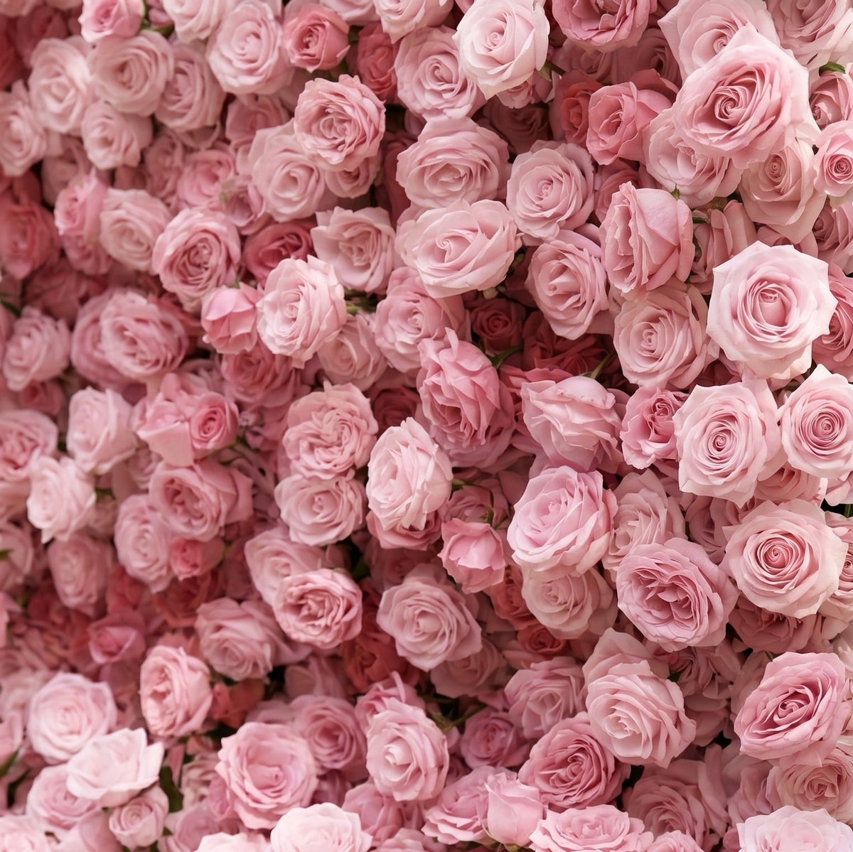 Perira: Luxury 5D Pink Silk Floral Wall Roll-Up Backdrop for Elegant Minimalist Weddings