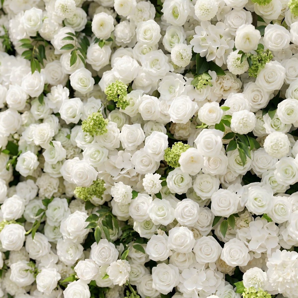 Raellyra:5D Soft Green & Ivory White Silk Rose Flower Wall Roll-Up Fabric Backdrop for Romantic Weddings & Proposals