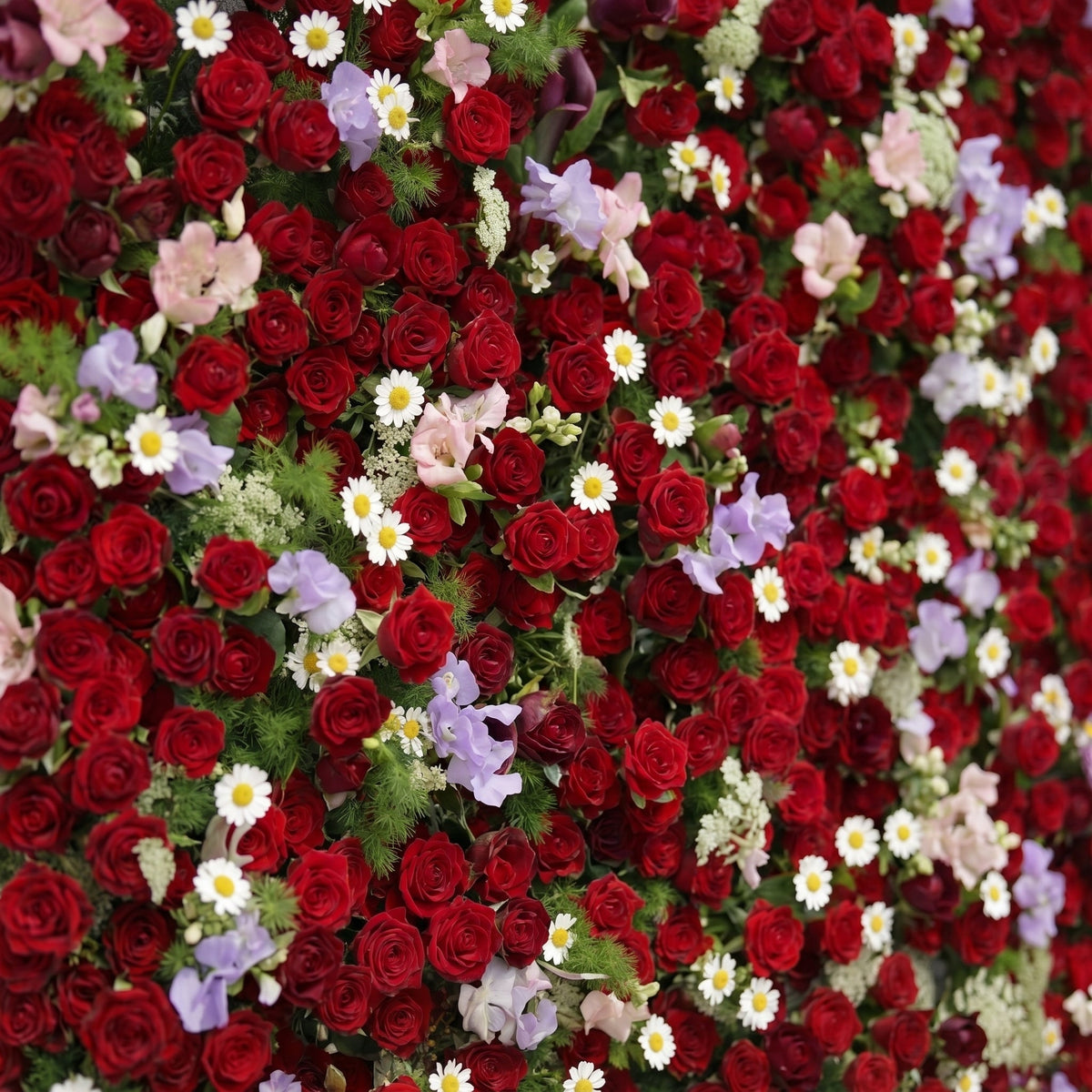 Sabbelle: Luxury 4D Ruby Red Rose Silk Floral Wall Backdrop with White Daisy & Lavender Accents for Romantic Weddings