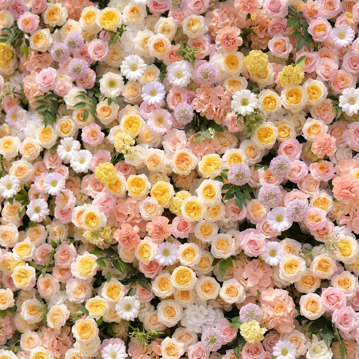 Sirensola:5D Peach Orange, Blush Pink & Ivory White Silk Rose Flower Wall Roll-Up Fabric Backdrop for Romantic Weddings & Proposals