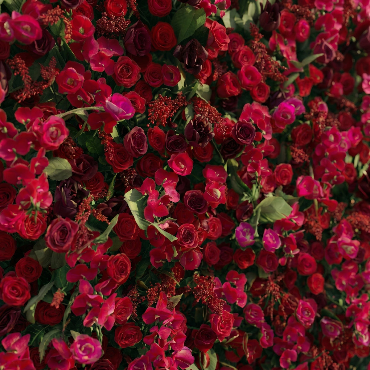 Torella:5D Luxury Burgundy Red Silk Rose Flower Wall Roll-Up Fabric Backdrop for Romantic Weddings & Proposals