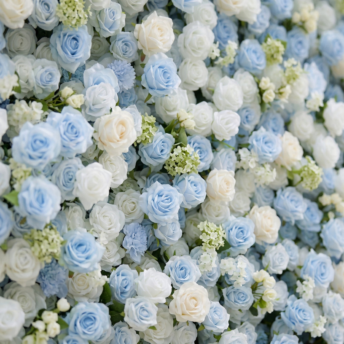 Vasper:5D Dusty Baby Blue & Ivory White Silk Rose Flower Wall Roll-Up Fabric Backdrop for Romantic Weddings & Proposals