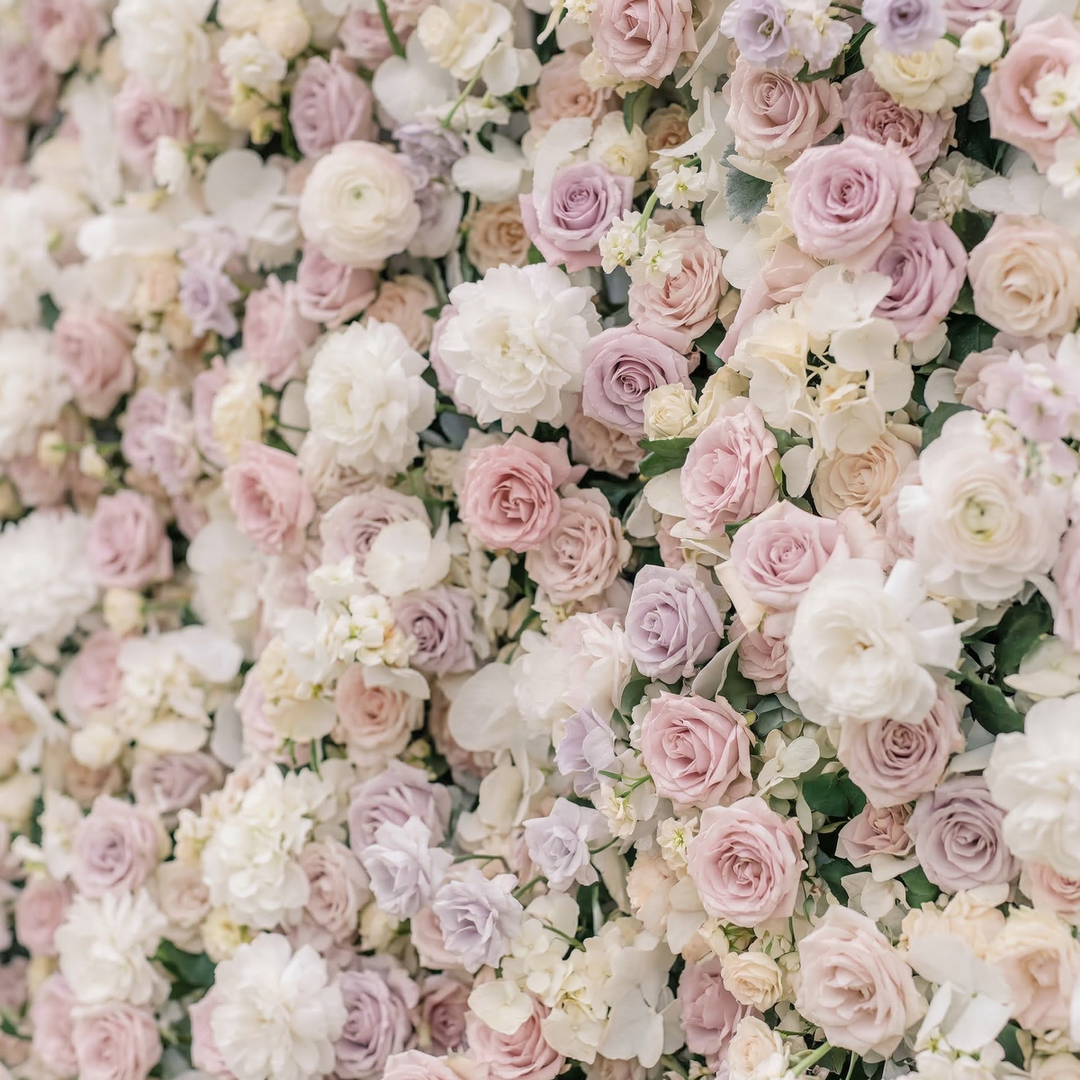 Vexira: 3D Dusty Pink Silk Rose Flower Wall Roll-Up Fabric Backdrop for Romantic Weddings & Proposals