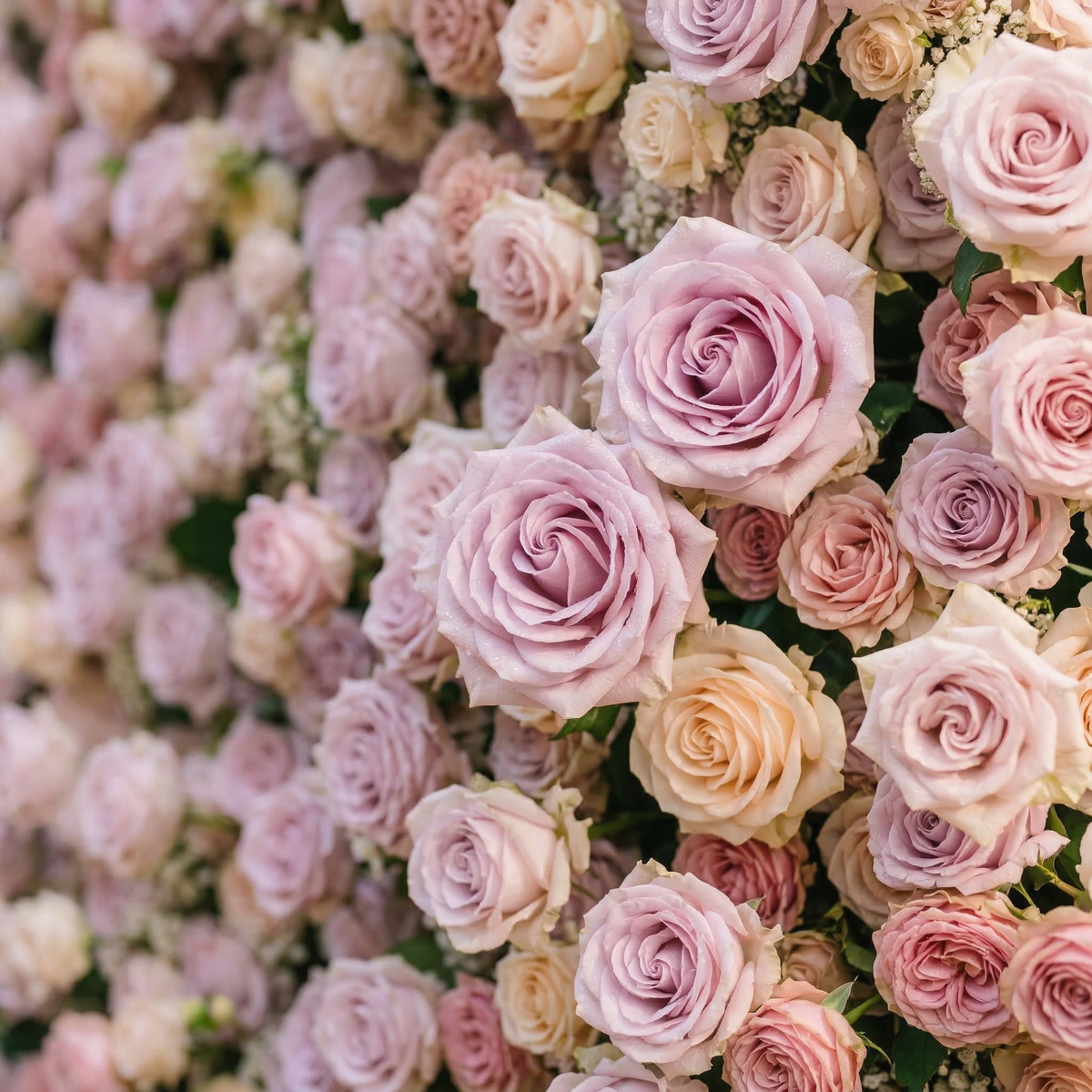 Yavelle: 5D Soft Pink & Light Lavender Silk Rose Flower Wall Roll-Up Fabric Backdrop for Elegant Weddings