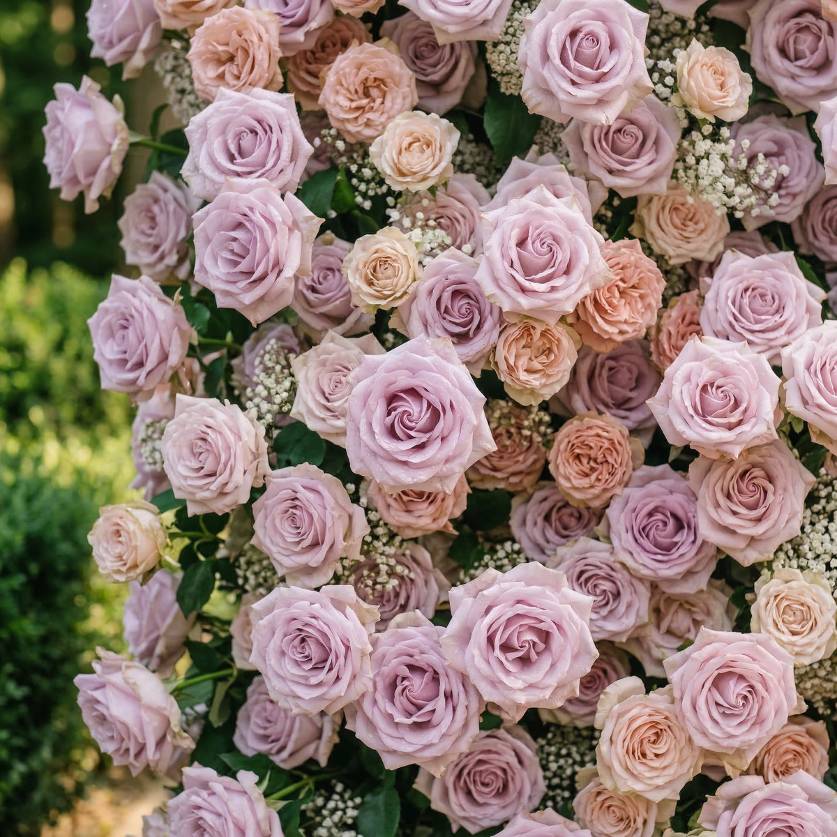 Yavelle: 5D Soft Pink & Light Lavender Silk Rose Flower Wall Roll-Up Fabric Backdrop for Elegant Weddings