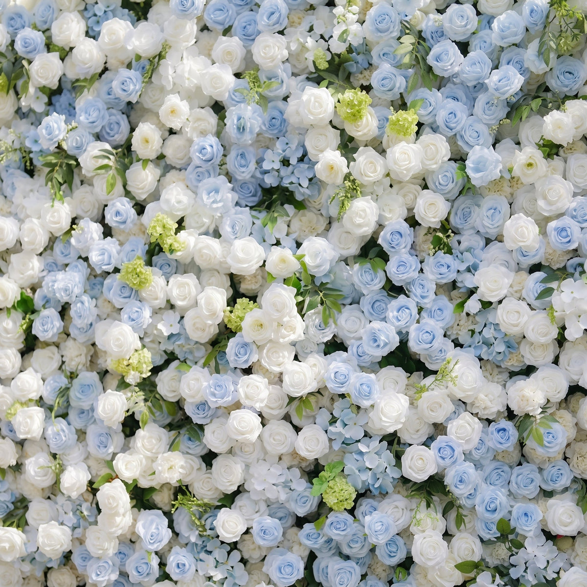 Zarenette:5D Dusty Baby Blue & Ivory White Silk Rose Flower Wall Roll-Up Fabric Backdrop for Romantic Weddings & Proposals