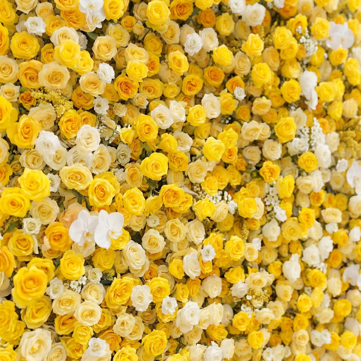 Zorova: Luxury 5D Lemon Yellow & White Silk Floral Wall Backdrop for Vibrant Summer Events