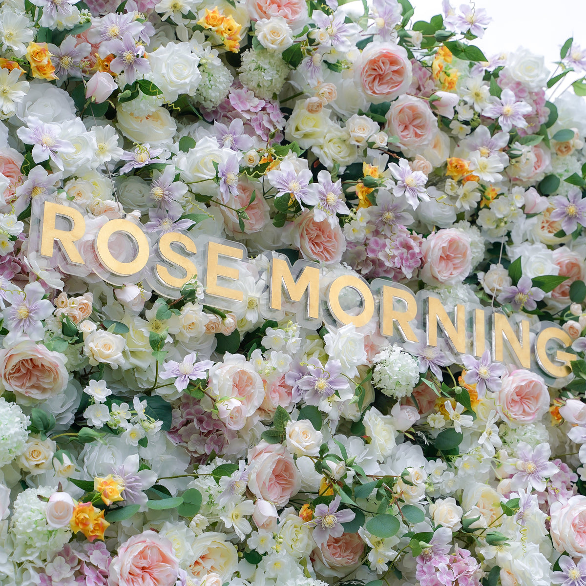 Alexa：7D Fabric Artificial rolling up curtain flower wall