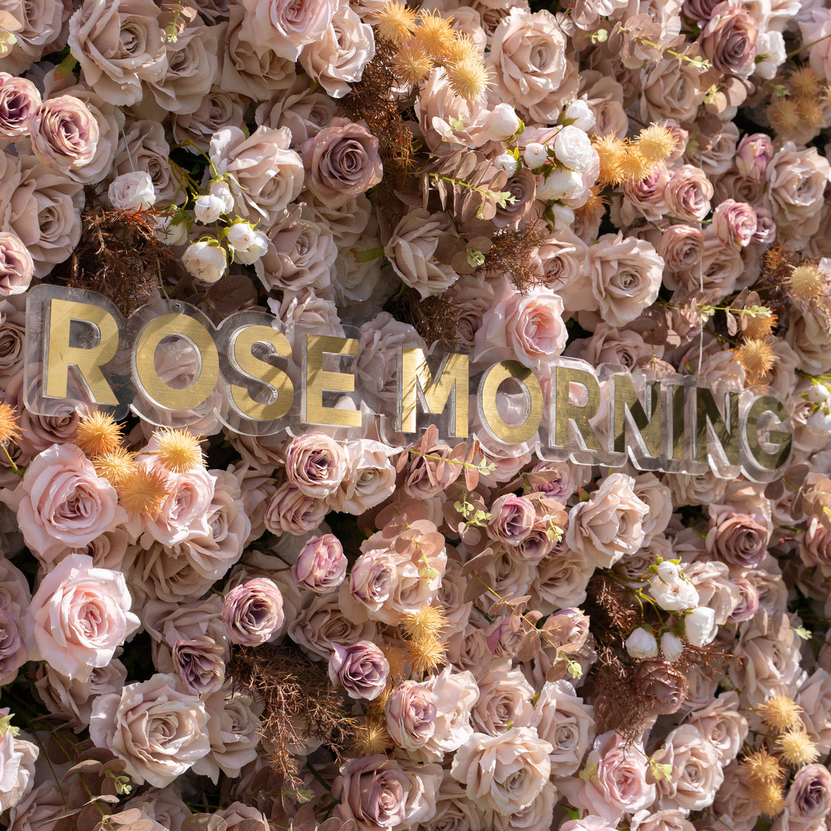 Caffe - 5D Fabric Flower Wall for Weddings Parties Baby Showers Fall Events Backdrop