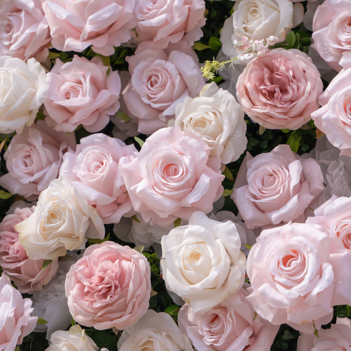 Caius: Luxury 5D Cream & Blush Silk Floral Wall Roll-Up Fabric Backdrop for Dreamy Garden Weddings & Bridal Showers