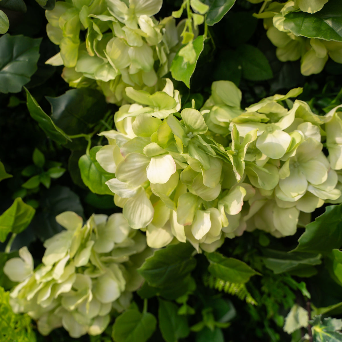Cressida: 3D Elegant White Silk Rose & Greenery Foliage Wall Roll-Up Fabric Backdrop for Luxury Weddings, Parties & Botanical Decor