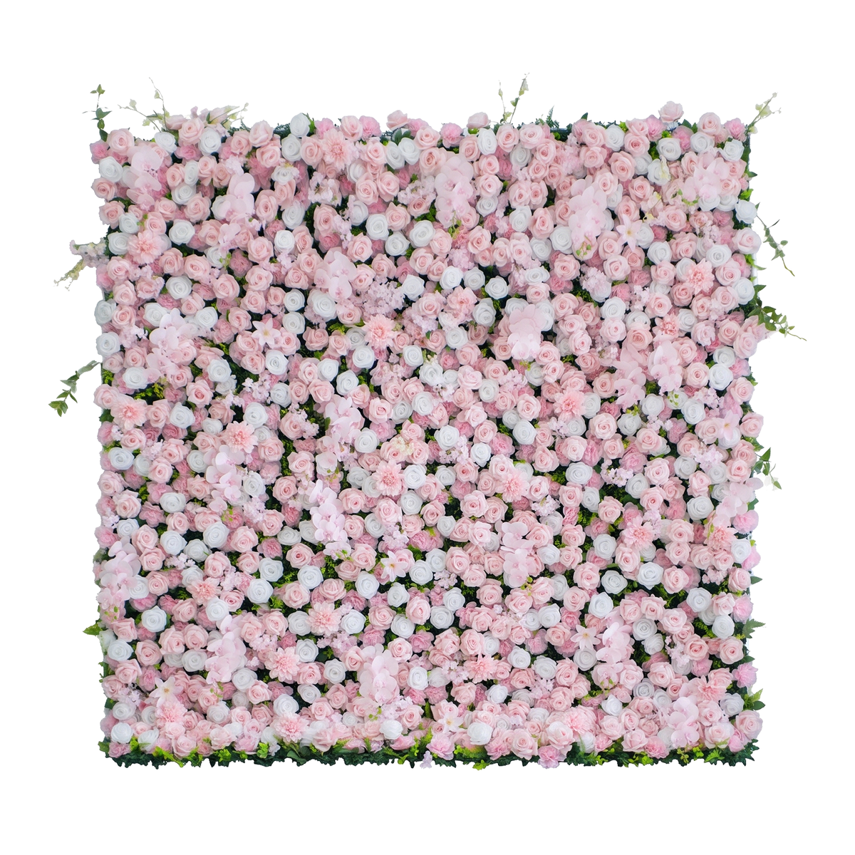 Blush: 3D Blush Rose Silk Flower Wall Curtain for Wedding Ceremony & Events Decor (In US Stock 5-7 Days)
