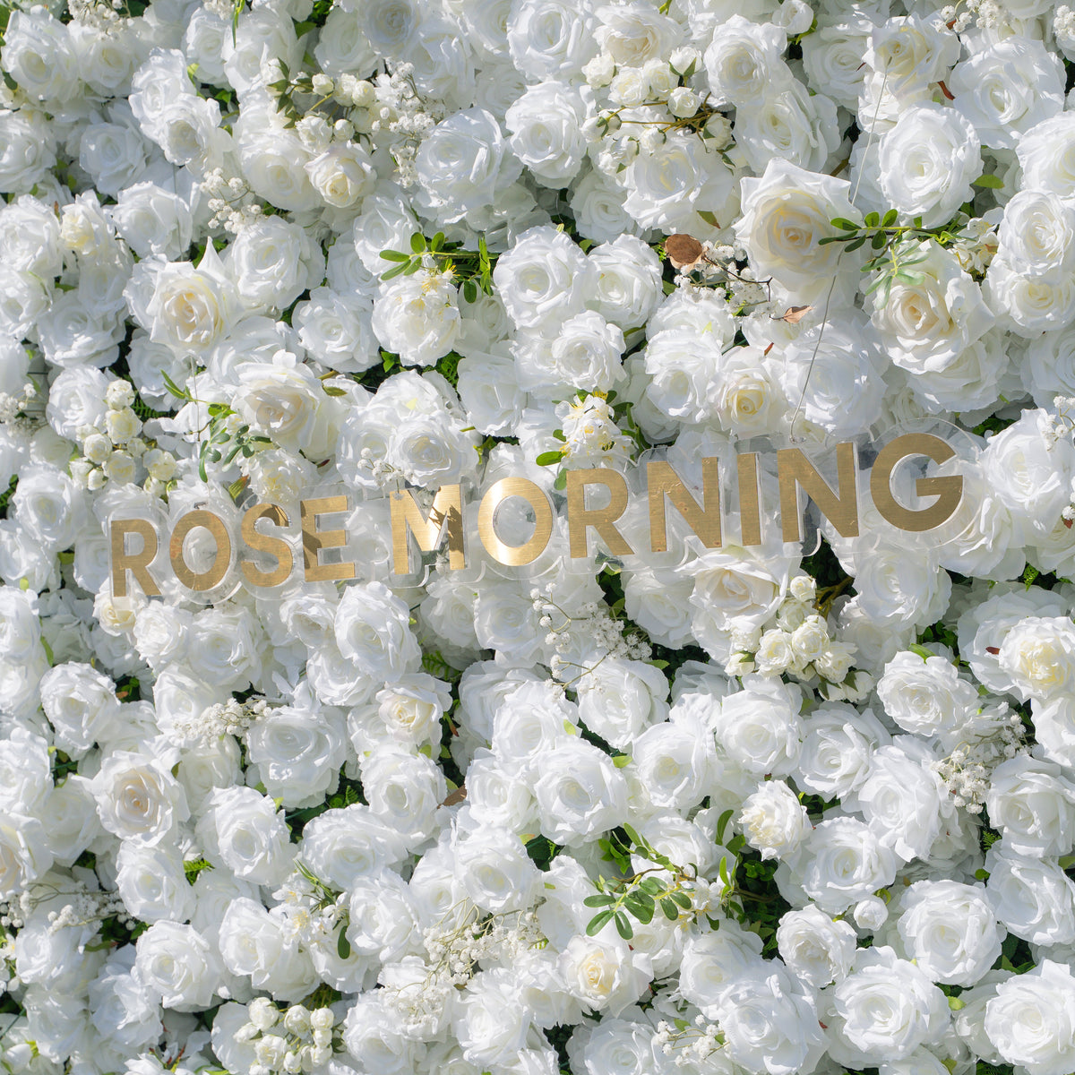Friday - White Popular 5D Fabric Roll Up Flower Wall for Wedding Party Event Backdrop