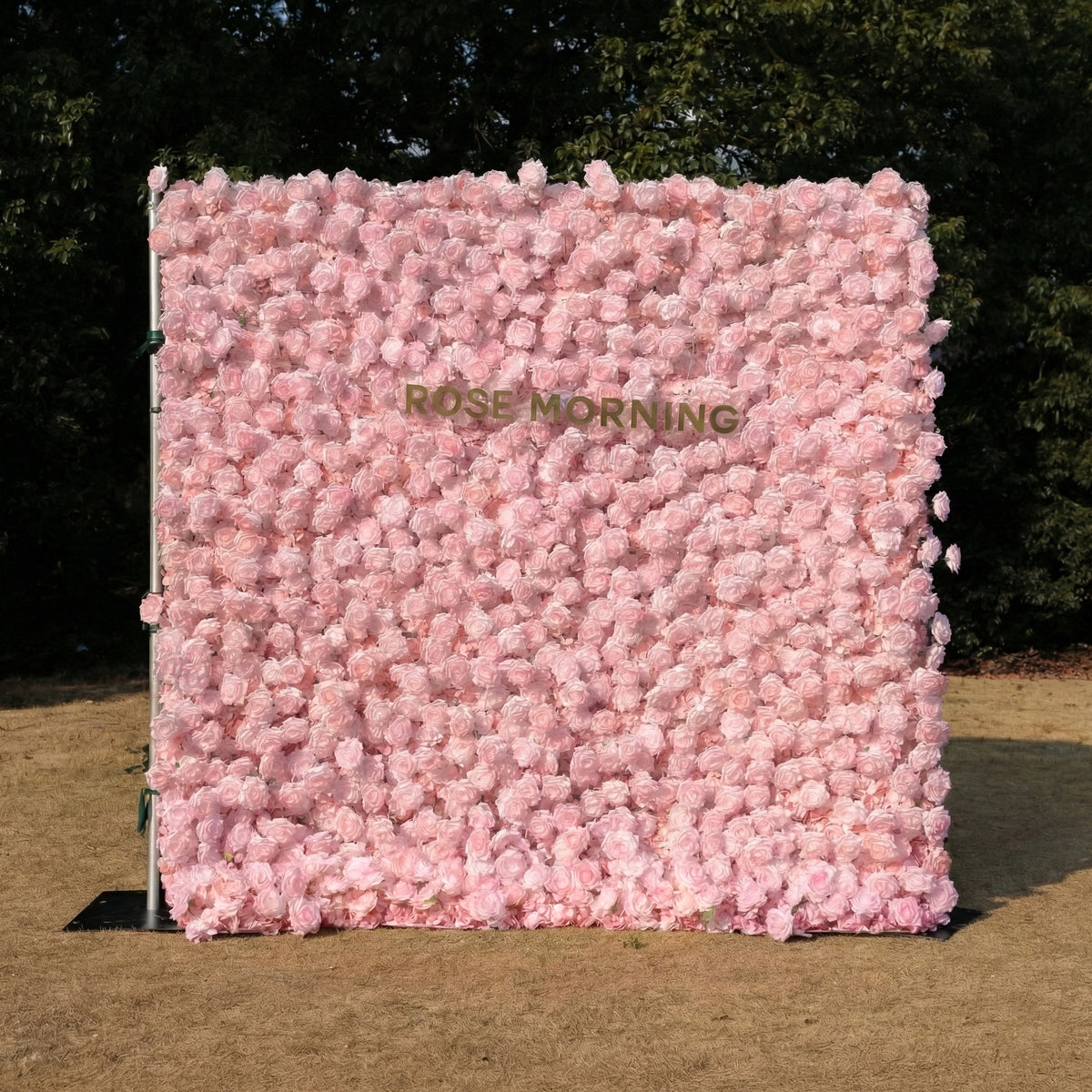 Hadas：2026 New Launch Sun-Activated Color-Changing Rose Flower Wall Backdrop (8×8) — One Wall, Two Looks: White Indoors → Blush Pink in Sunlight