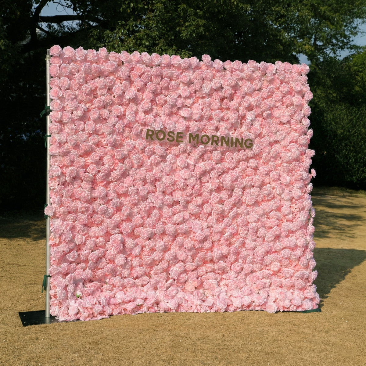 Hadas：2026 New Launch Sun-Activated Color-Changing Rose Flower Wall Backdrop (8×8) — One Wall, Two Looks: White Indoors → Blush Pink in Sunlight