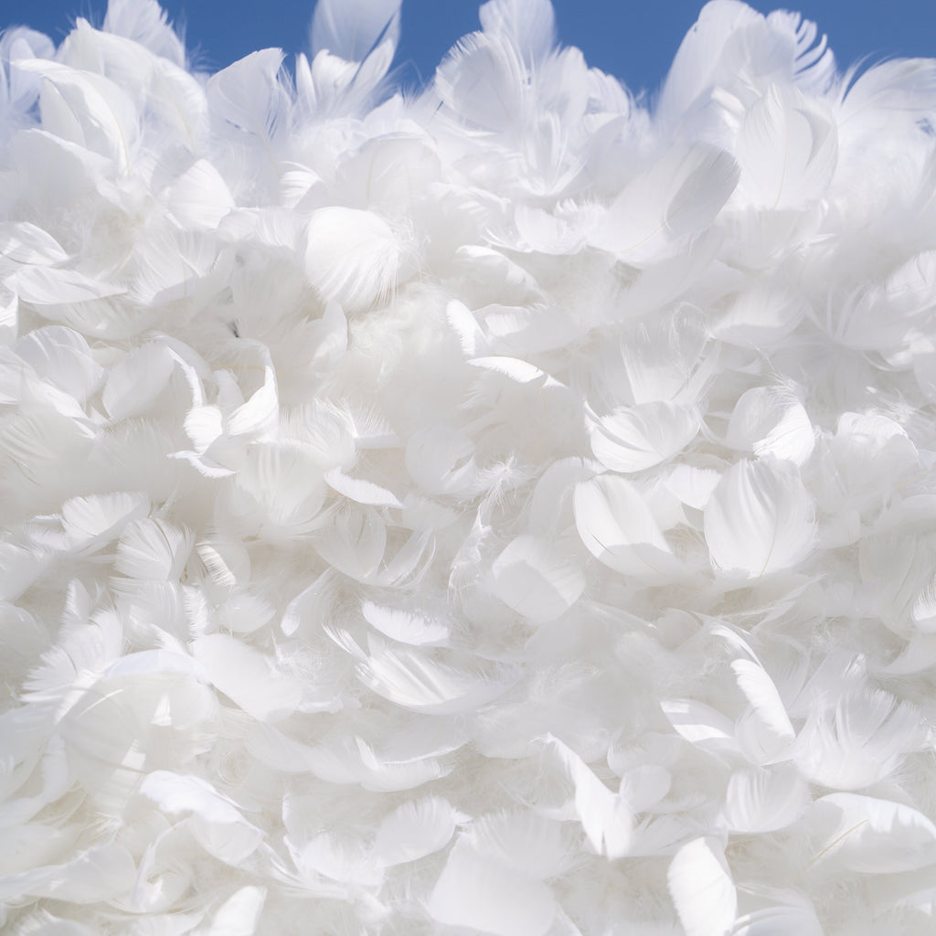 Hilton： Pure White Feather Flower Wall - 5D Fabric Backdrop for Wedding Birthday Party Event Decoration