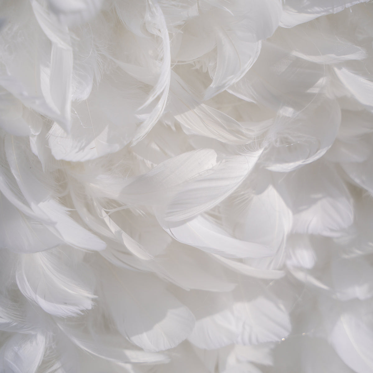 Hilton： Pure White Feather Flower Wall - 5D Fabric Backdrop for Wedding Birthday Party Event Decoration