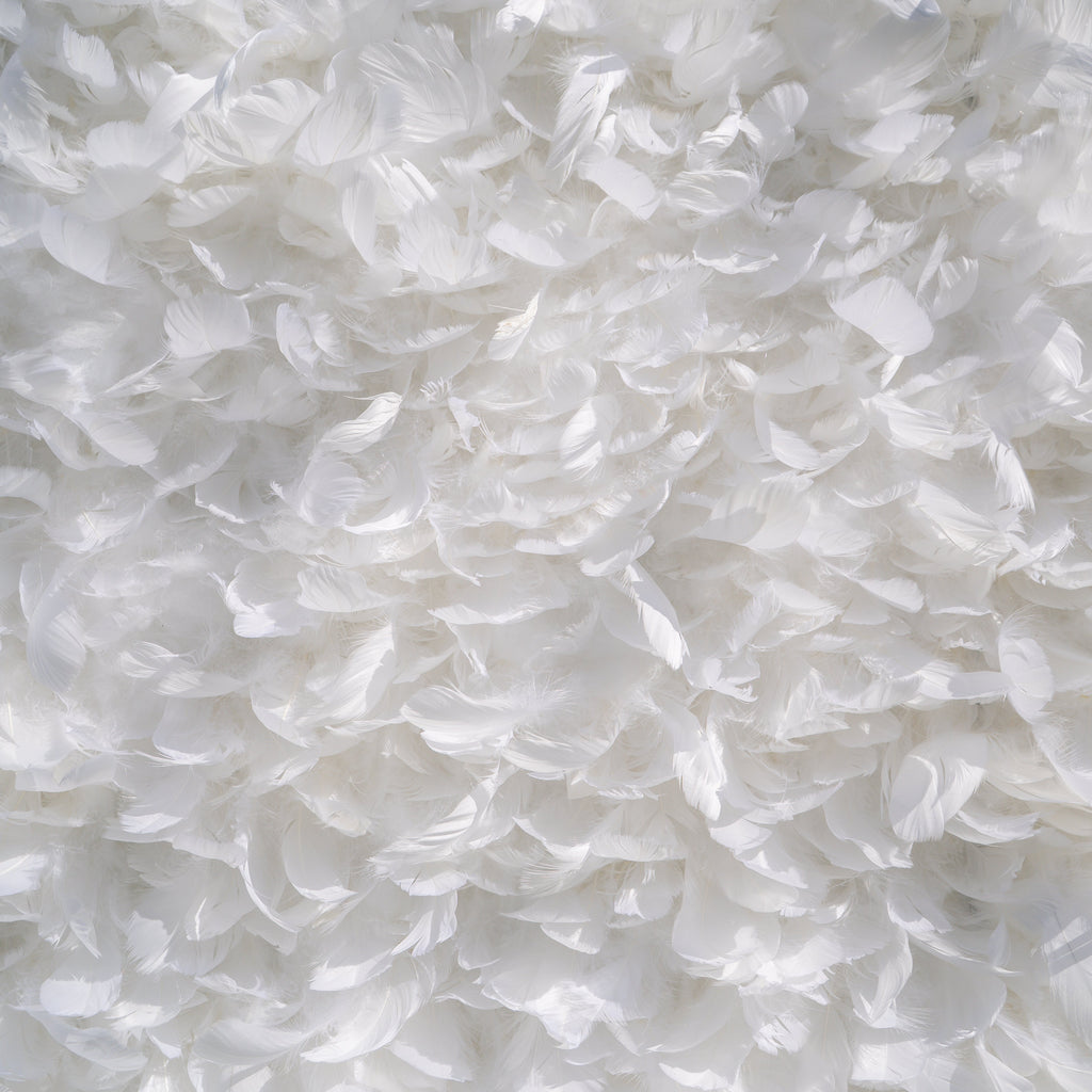 Hilton： Pure White Feather Flower Wall - 5D Fabric Backdrop for Wedding Birthday Party Event Decoration