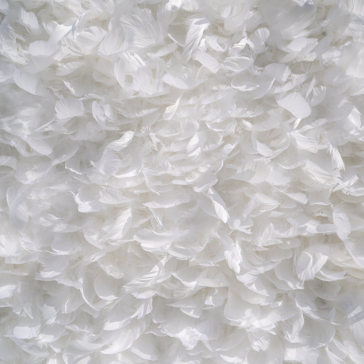 Hilton： Pure White Feather Flower Wall - 5D Fabric Backdrop for Wedding Birthday Party Event Decoration