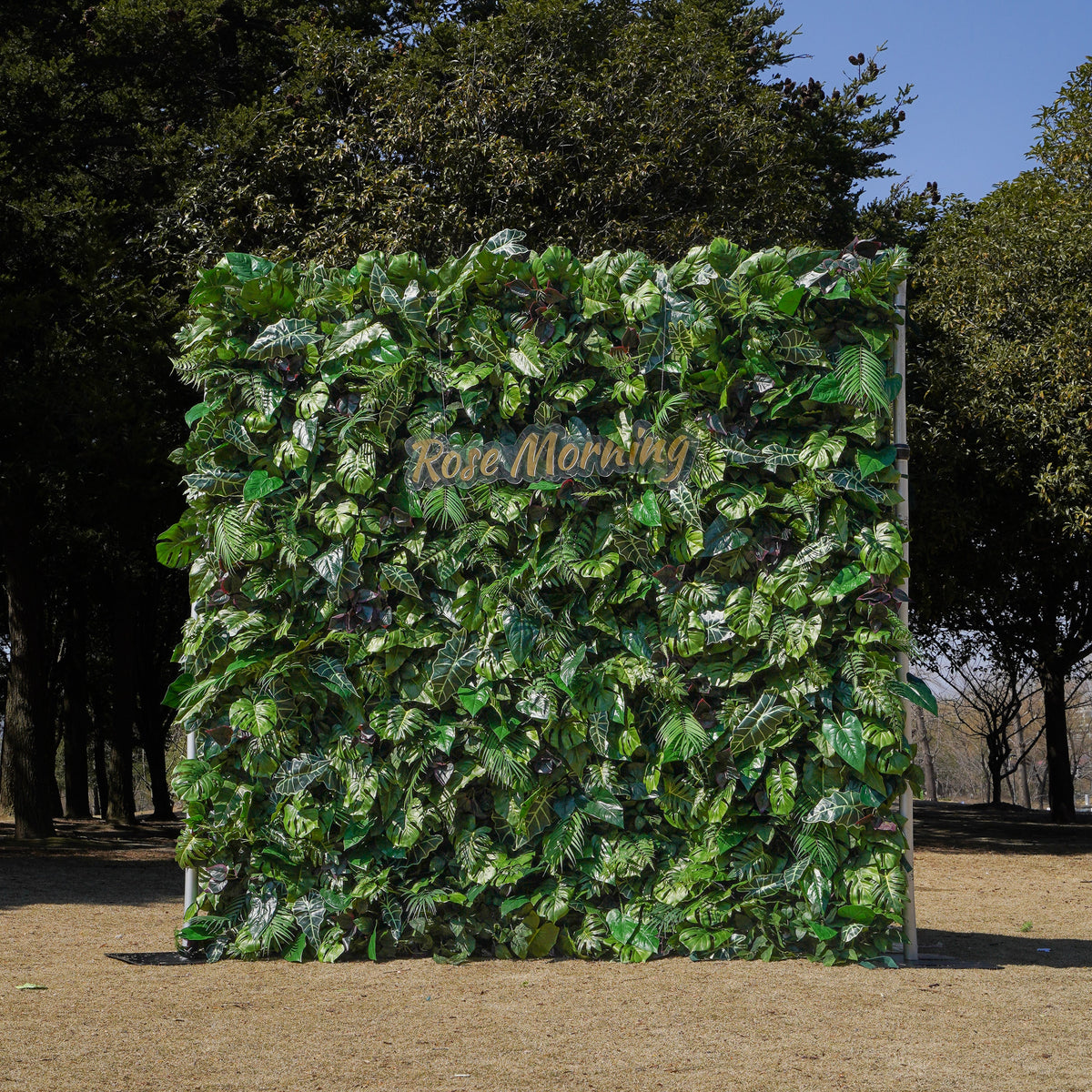 June：5D 2023 Fabric Artificial rolling up curtain flower wall