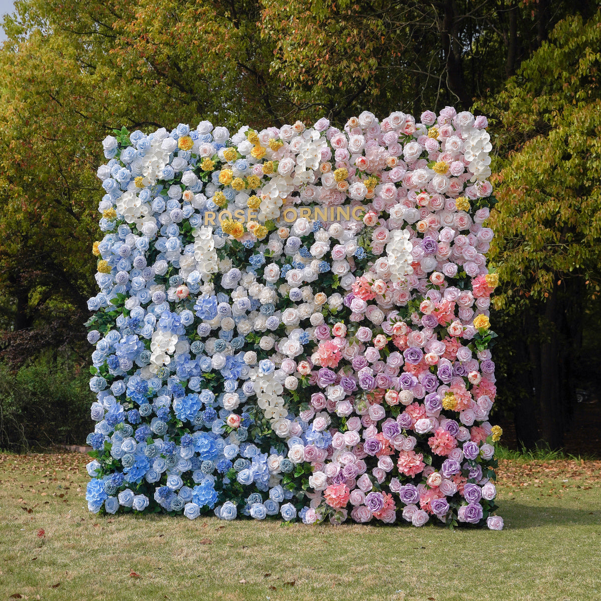 Lotte - 5D Fabric Roll Up Flower Wall for Gender Reveal Baby Shower Party Backdrop