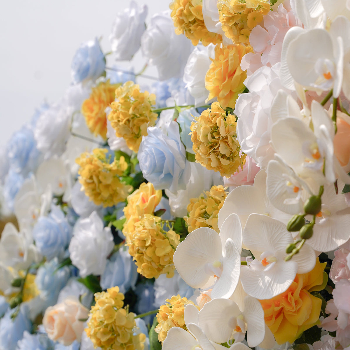 Lotte - 5D Fabric Roll Up Flower Wall for Gender Reveal Baby Shower Party Backdrop