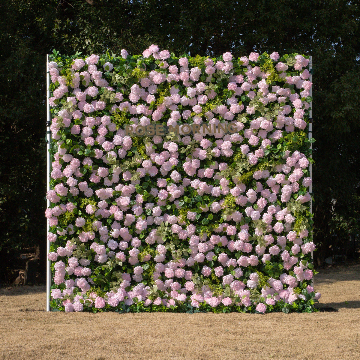 Magica：2026 New Launch-Sun-Activated Color-Changing Rose Flower Wall Backdrop (8×8) — One Wall, Two Looks: White Indoors → Blush Pink in Sunlight