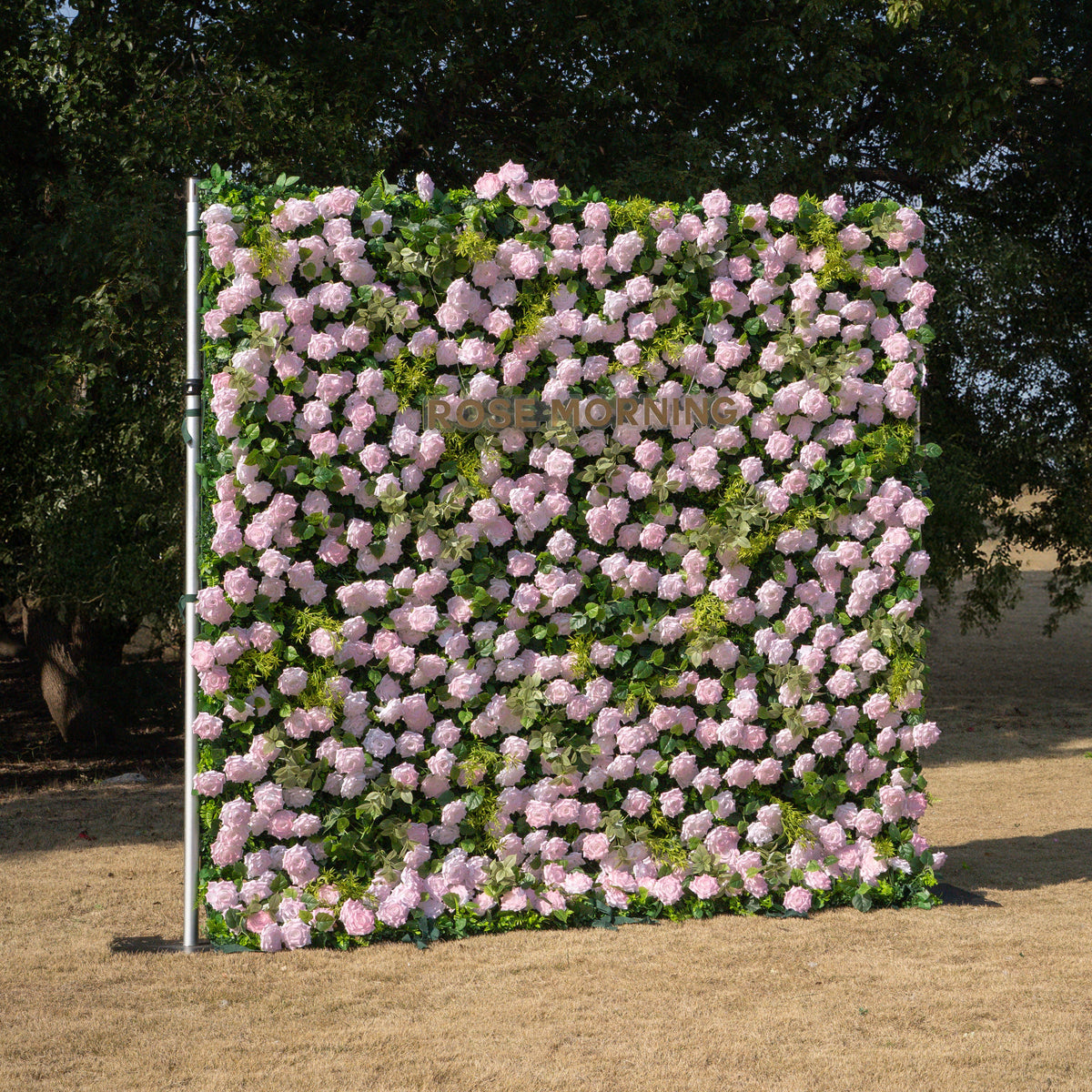 Magica：2026 New Launch-Sun-Activated Color-Changing Rose Flower Wall Backdrop (8×8) — One Wall, Two Looks: White Indoors → Blush Pink in Sunlight