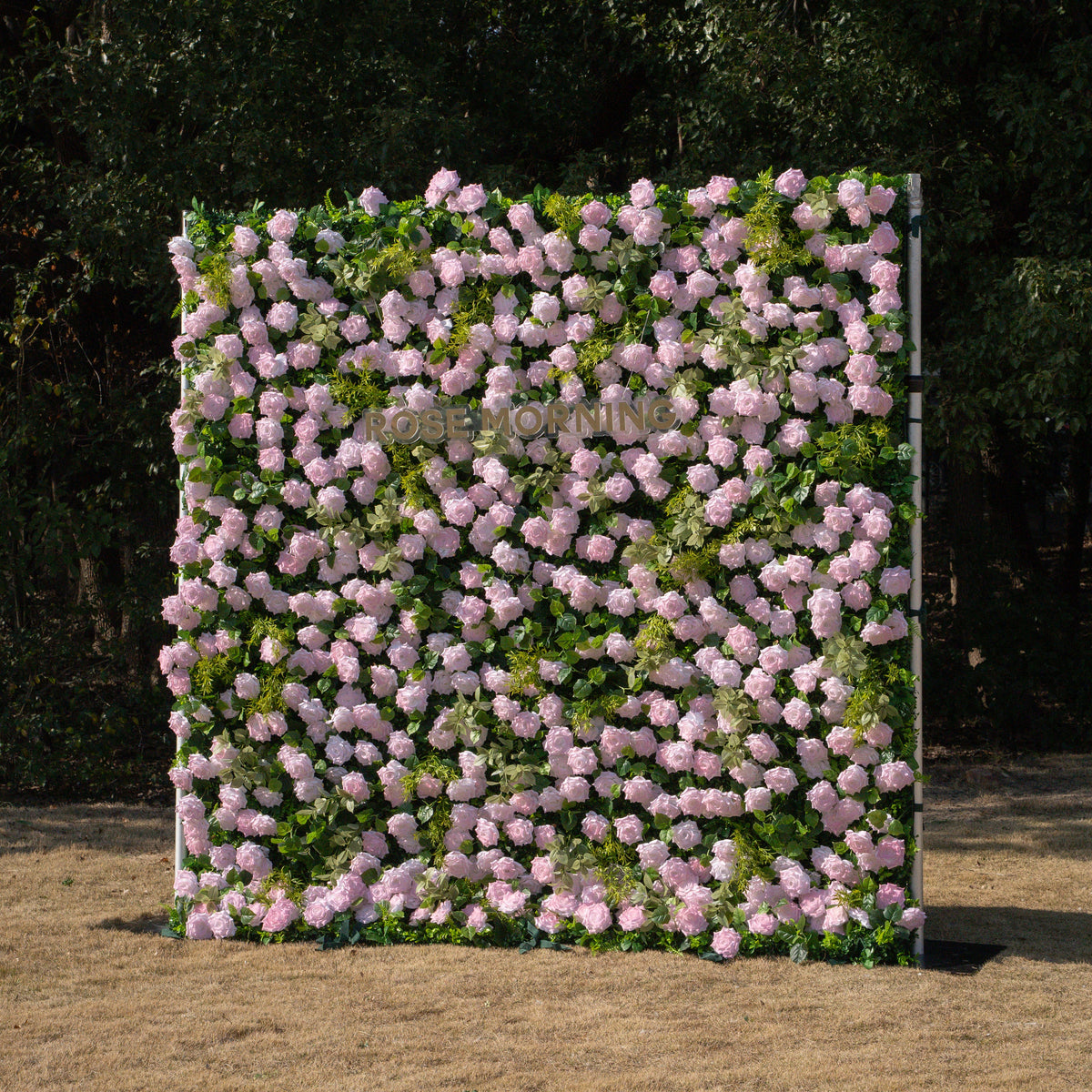 Magica：2026 New Launch-Sun-Activated Color-Changing Rose Flower Wall Backdrop (8×8) — One Wall, Two Looks: White Indoors → Blush Pink in Sunlight