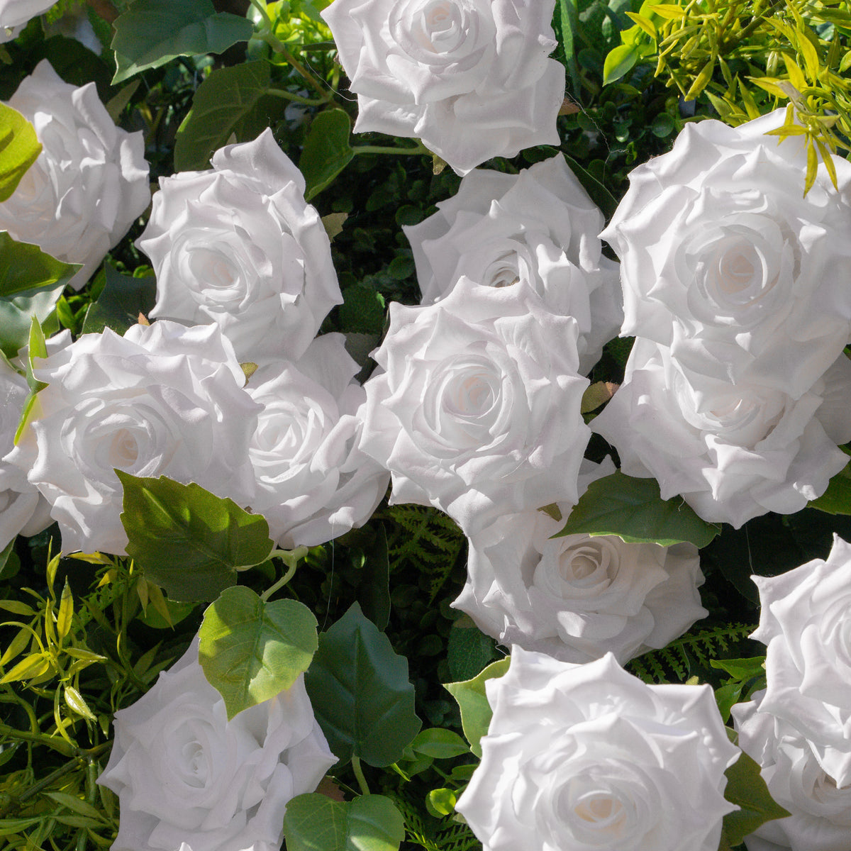 Magica：2026 New Launch-Sun-Activated Color-Changing Rose Flower Wall Backdrop (8×8) — One Wall, Two Looks: White Indoors → Blush Pink in Sunlight