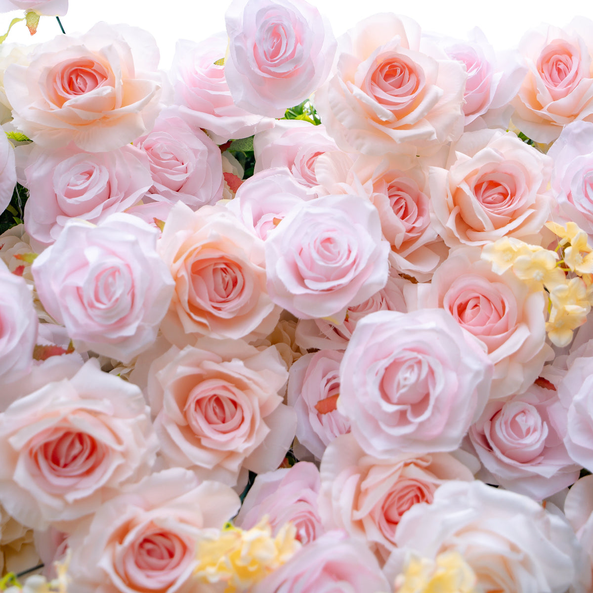 Melina：5D Fabric Artificial rolling up curtain flower wall