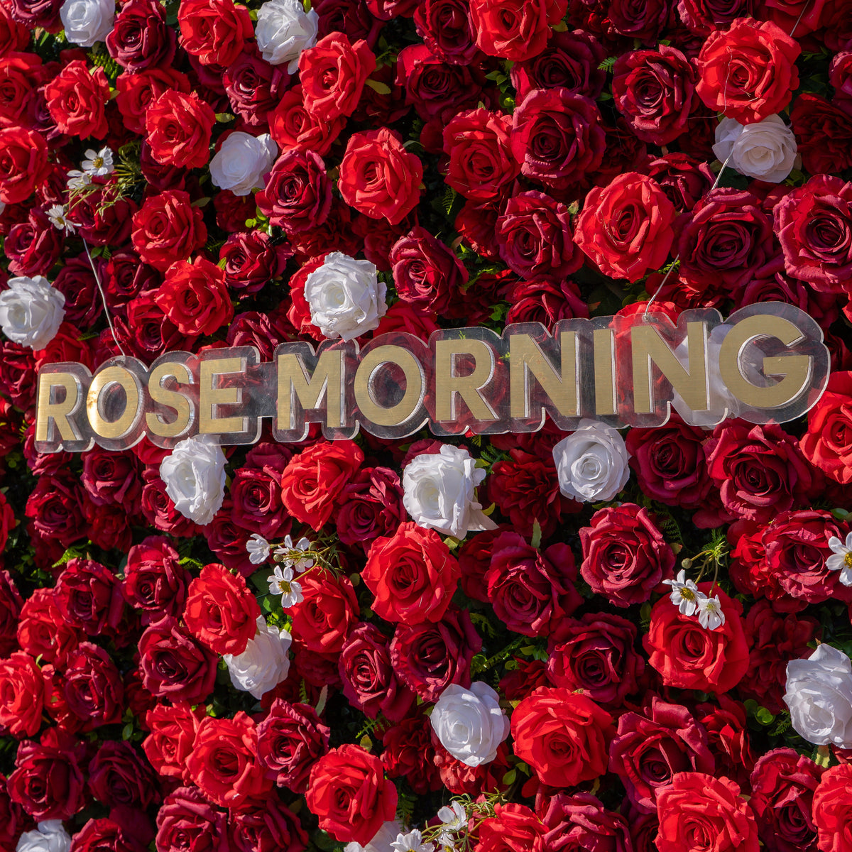 Meraki: 3D  Luxury Crimson Red & White Silk Floral Wall Roll-Up Fabric Backdrop for Grand Weddings & Valentine’s Events